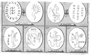 prodromus iconicus 7