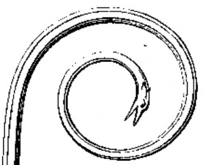 crozier abbot roger bronze jumieges rouen