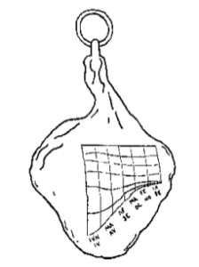 viatoria pensilia prosciutto ham of portici