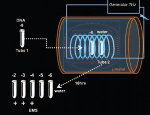 Montagnier DNA transmission information through water and frequencies